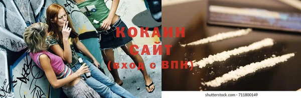 прущие грибы Вяземский