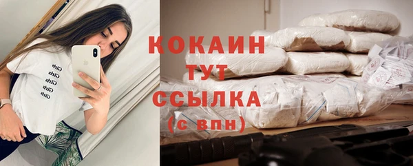 прущие грибы Вяземский