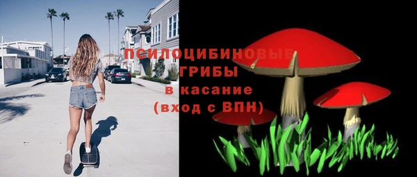 прущие грибы Вяземский