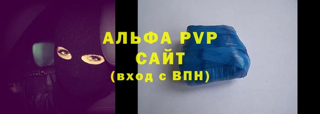 прущие грибы Вяземский