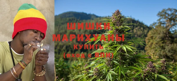 дживик Михайловск