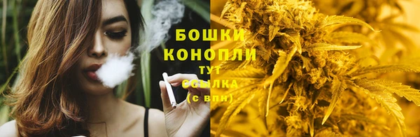 МДПВ Вязьма