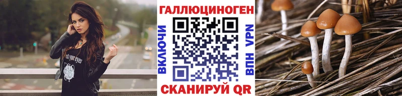 Галлюциногенные грибы Cubensis  Камбарка 
